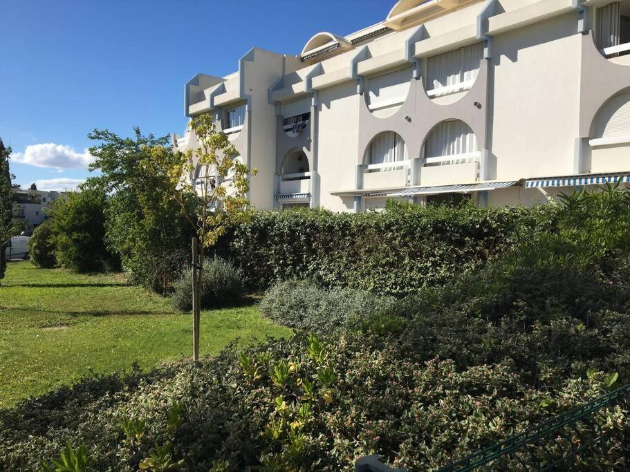 Tres Beau Studio Au Grau Du Roi Tout Equipe 33M2 Le Grau-du-Roi Eksteriør billede